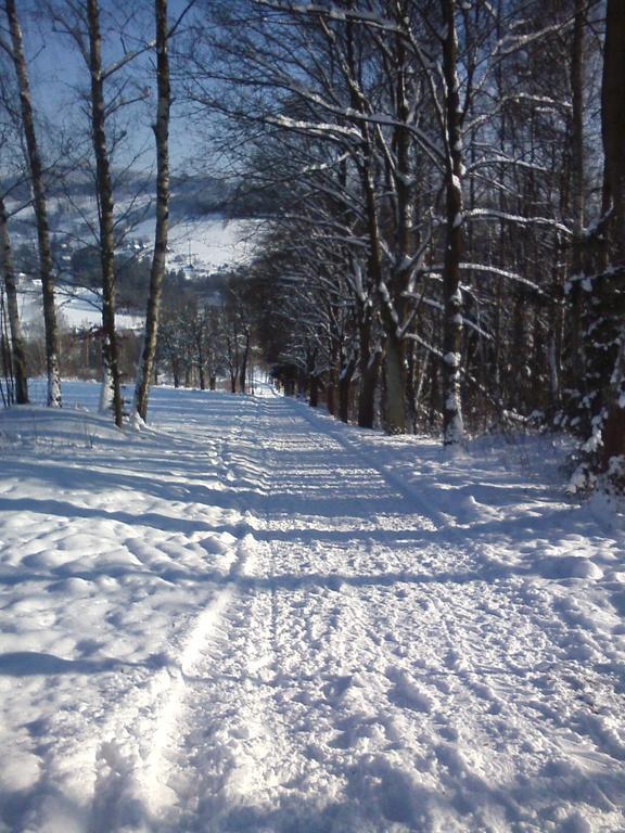 Privat Pohoda Paseky nad Jizerou Extérieur photo