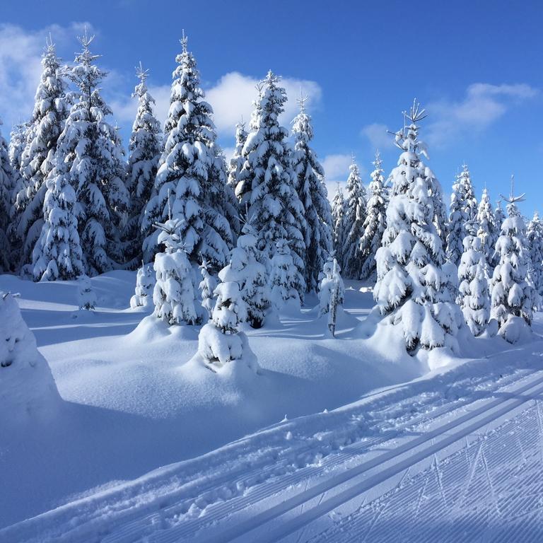 Privat Pohoda Paseky nad Jizerou Extérieur photo