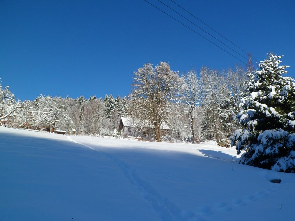 Privat Pohoda Paseky nad Jizerou Extérieur photo